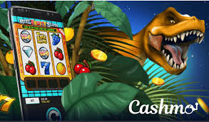 The Rise of New Social Casinos in the USA The Rise of New Social Casinos in the USA