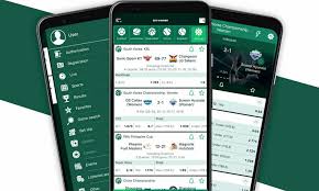 Understanding BetWinner KYC A Comprehensive Guide Understanding BetWinner KYC A Comprehensive Guide